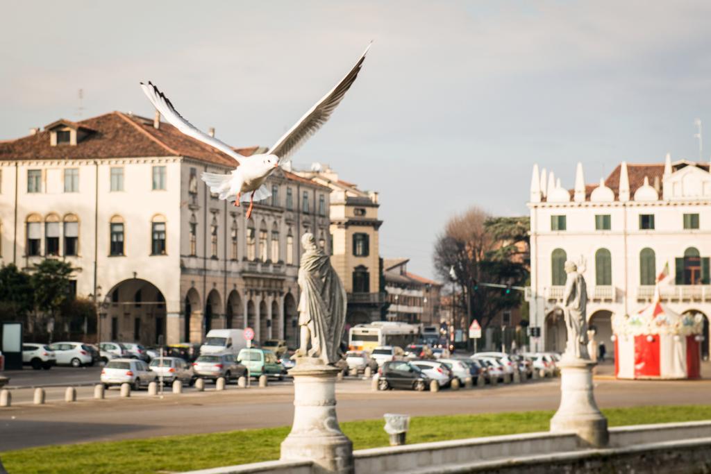Myplace Prato Della Valle Apartments Padova Eksteriør billede